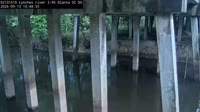 Olanta - Lynches River