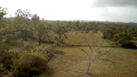 La Democracia - Monkey Bay Wildlife Sanctuary