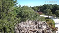 Falmouth - Waquoit Bay Reserve - Rybołów