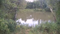 Bent Creek - French Broad River
