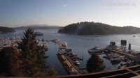 Friday Harbor - Raccolta di webcam