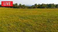 LaFollette - Hatfield Knob Elk