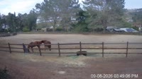 San Diego - Foaling stall
