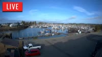 Point Roberts - Marina