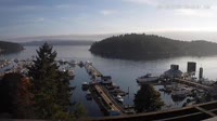 Friday Harbor - Zbiór kamer