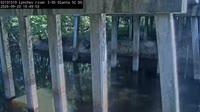 Olanta - Lynches River