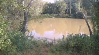 Bent Creek - French Broad River