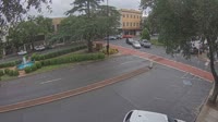 Forest City - Downtown