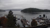 Friday Harbor - Zbiór kamer