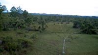 La Democracia - Monkey Bay Wildlife Sanctuary