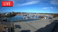 Point Roberts - Marina