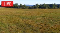 LaFollette - Hatfield Knob Elk
