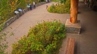 West Glacier - Apgar Visitor Center