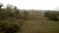 La Democracia - Monkey Bay Wildlife Sanctuary