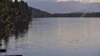 Donner Lake Village