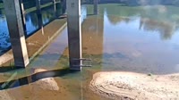 Cayce - Congaree River