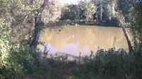 Bent Creek - French Broad River