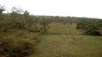 La Democracia - Monkey Bay Wildlife Sanctuary
