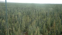 Delta Junction - Fort Greely - Taiga
