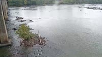 West Columbia - Congaree River