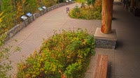 West Glacier - Apgar Visitor Center