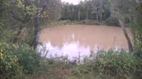 Bent Creek - French Broad River