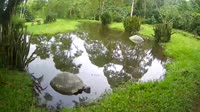 Miniaturansicht