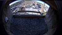 Miniaturansicht