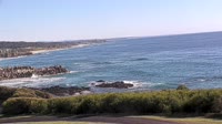 Narooma - Wagonga Inlet