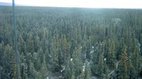 Delta Junction - Fort Greely - Taiga
