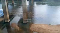 Cayce - Congaree River