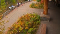 West Glacier - Apgar Visitor Center