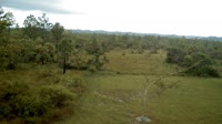 La Democracia - Monkey Bay Wildlife Sanctuary
