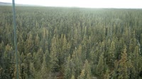 Delta Junction - Fort Greely - Taiga