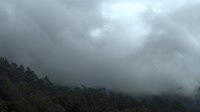 Great-Smoky-Mountains-Nationalpark - Look Rock