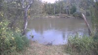 Bent Creek - French Broad River