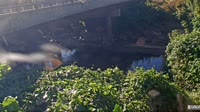 Atlanta - Peachtree Creek