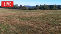 LaFollette - Hatfield Knob Elk
