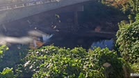 Atlanta - Peachtree Creek