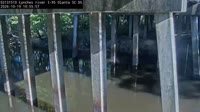 Olanta - Lynches River