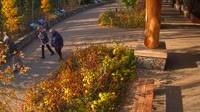 West Glacier - Apgar Visitor Center