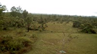 La Democracia - Monkey Bay Wildlife Sanctuary