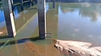 Cayce - Congaree River