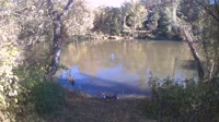 Bent Creek - French Broad River