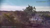 Westminster - Standley Lake Regional Park - Aquile calve