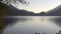 Parco nazionale Olimpico - Lake Crescent