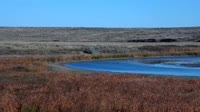 Malta - American Prairie