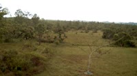 La Democracia - Monkey Bay Wildlife Sanctuary