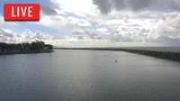 Dana Point - Marina