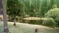 Quincy - Greenhorn Dude Ranch